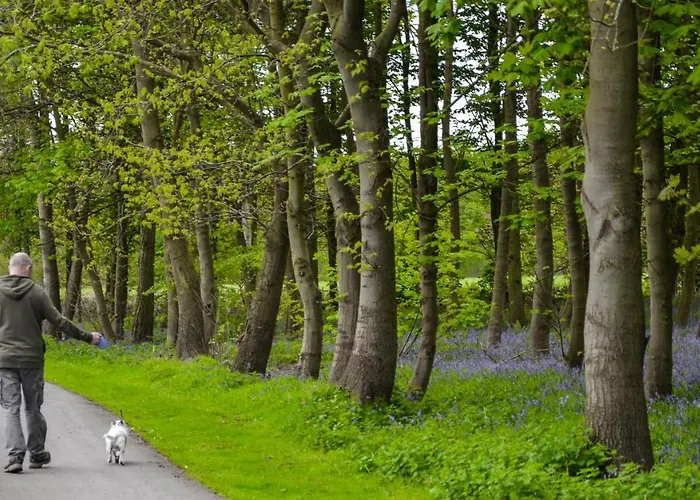 Hollicarrs - Dragonfly Lodge York