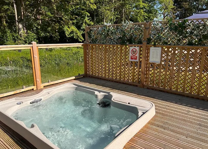 Lodge Hollicarrs - Dragonfly