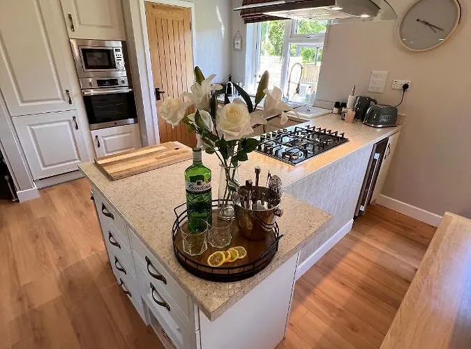 Hollicarrs - Dragonfly *