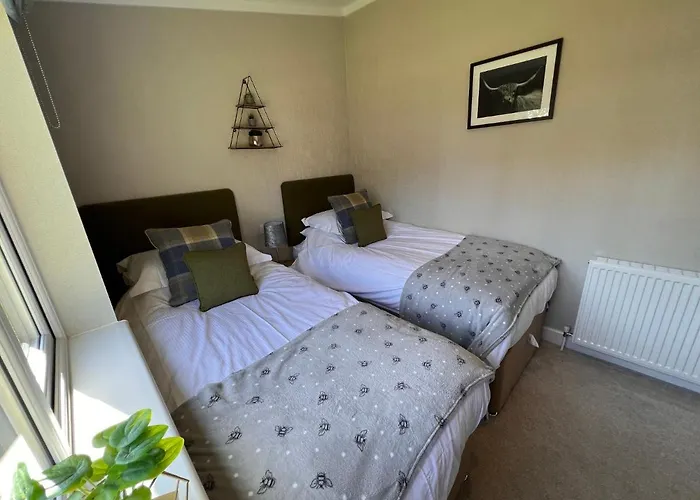 Lodge Hollicarrs - Dragonfly