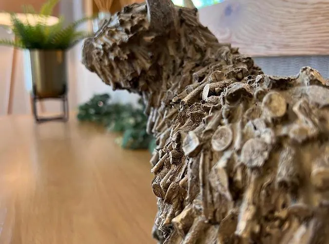 Lodge Hollicarrs - Dragonfly York