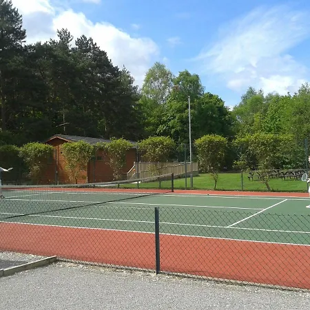 Hollicarrs - Dragonfly *