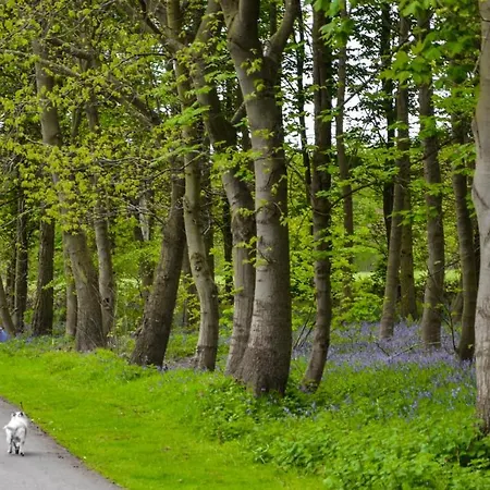 Hollicarrs - Dragonfly Lodge York