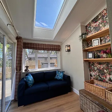 Hollicarrs - Dragonfly *