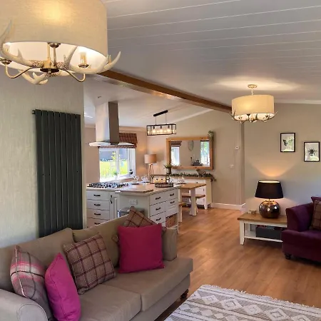 Hollicarrs - Dragonfly York