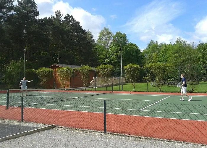 Hollicarrs - Dragonfly *