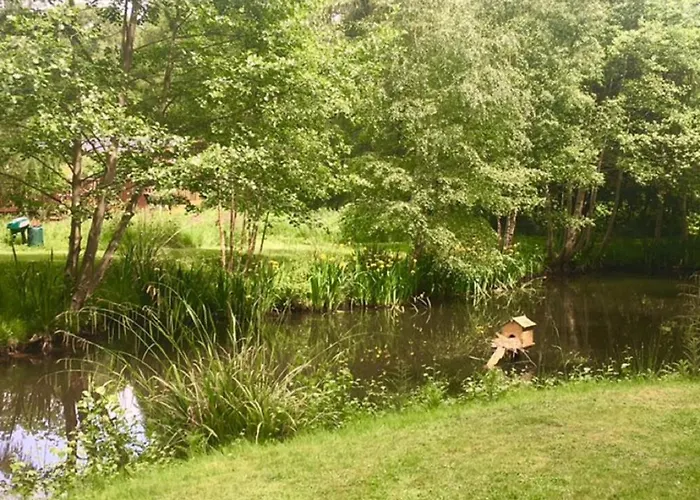 Hollicarrs - Dragonfly York