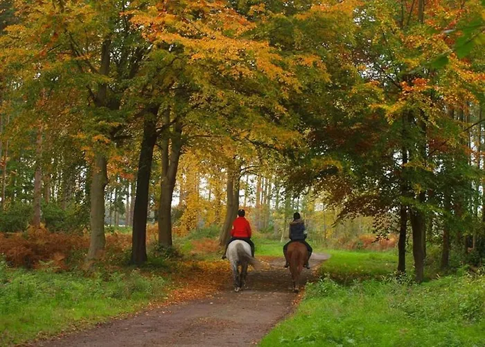 Lodge Hollicarrs - Dragonfly *