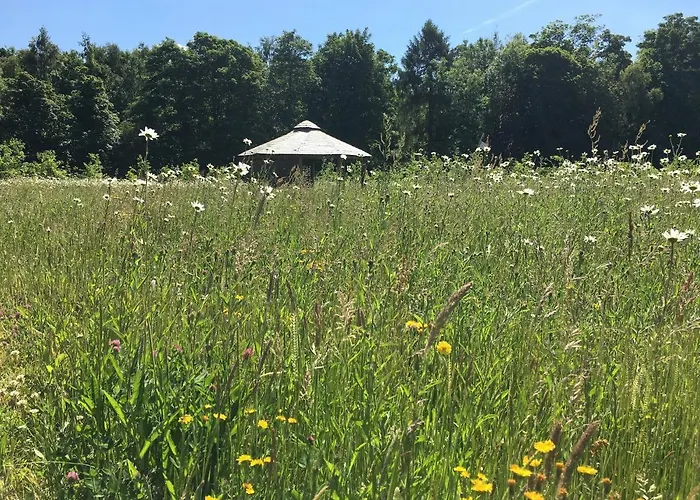 אכסניה Hollicarrs - Dragonfly