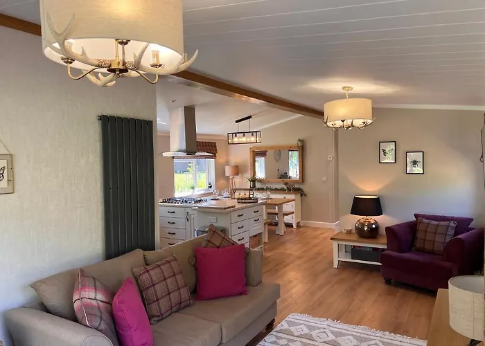 Hollicarrs - Dragonfly יורק