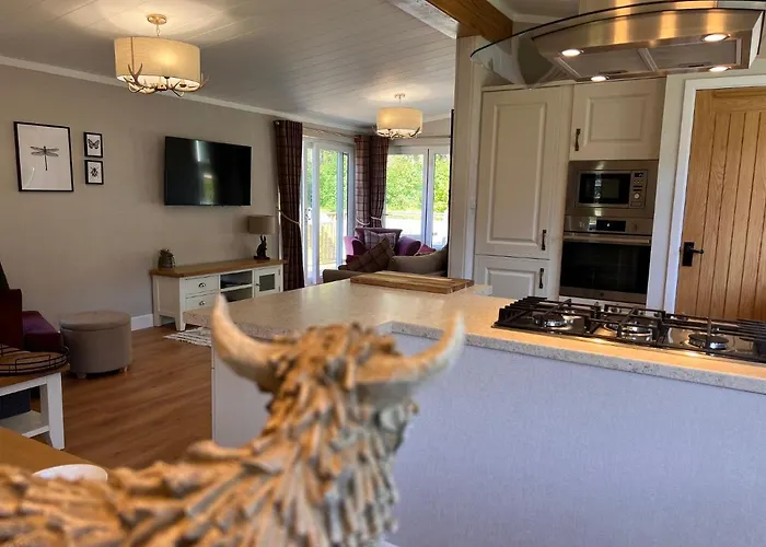 Hollicarrs - Dragonfly