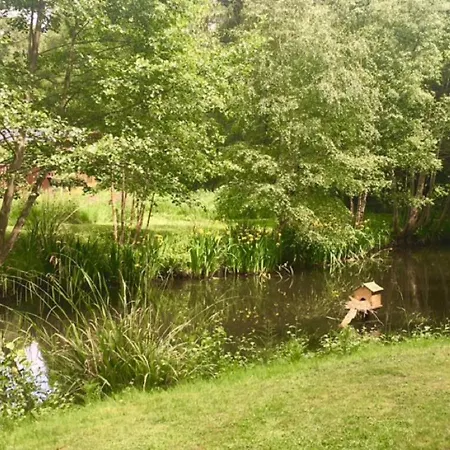 Hollicarrs - Dragonfly York