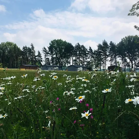 Hollicarrs - Dragonfly Hytte