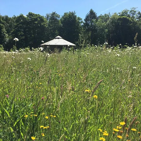 Hytte Hollicarrs - Dragonfly