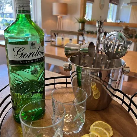 Hollicarrs - Dragonfly *