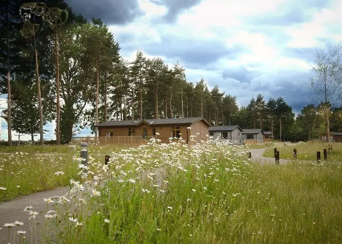 Hollicarrs - Dragonfly Lodge York