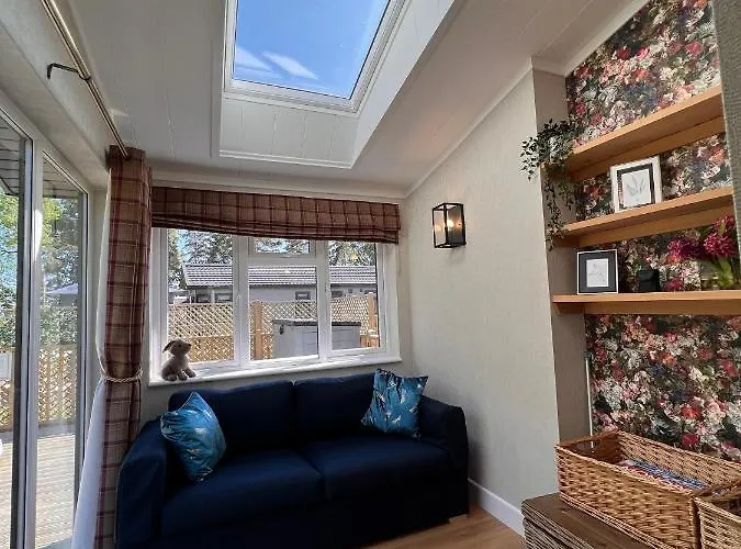 Hollicarrs - Dragonfly *