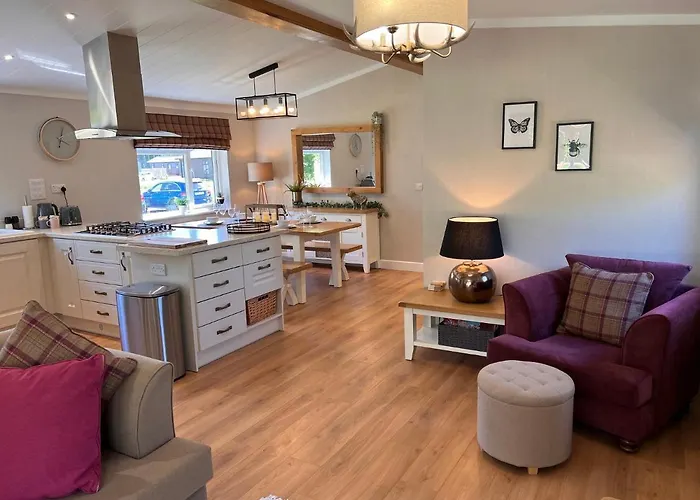 Lodge Hollicarrs - Dragonfly York